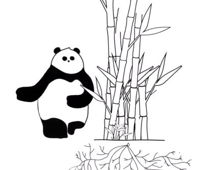 #BabmuStory: No hay magia… el truco es la perseverancia